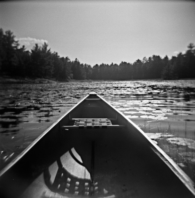 Photograph (c) Richard A Johnson