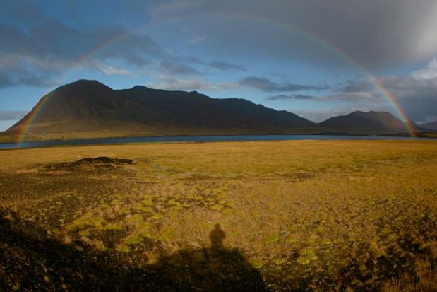 Terrence Malik was here.